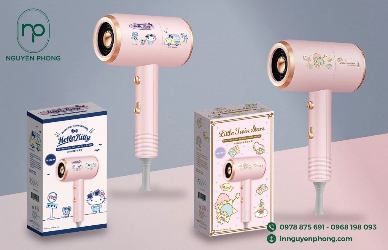 Mẫu hộp carton đựng máy sấy mini 